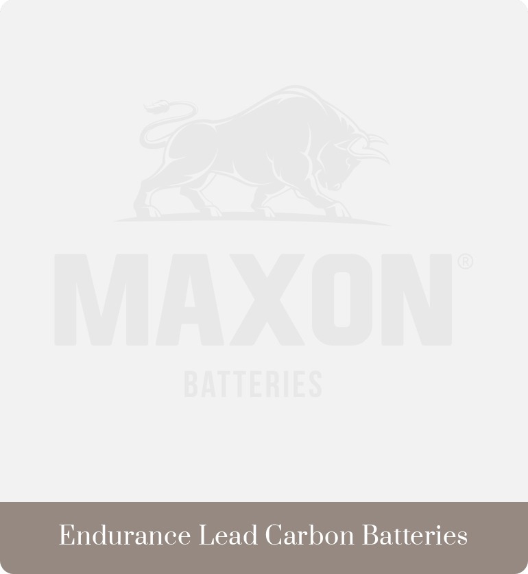Endurance Lead Carbon Batteries